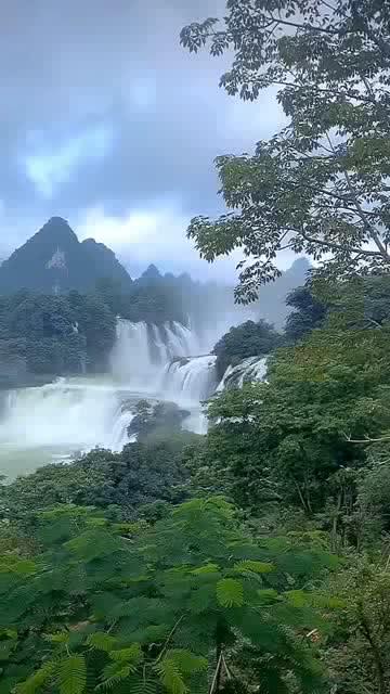 被谢贤养了十多年的Coco，如今怎么样？游戏画面